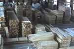 Решение проблемы влажности древесины при изготавлении дверей